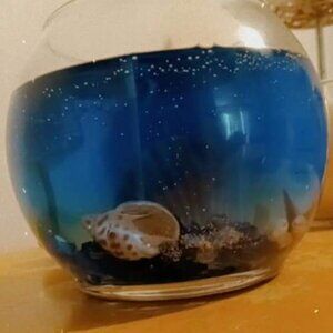 Gel Ocean candles 🪸🌊